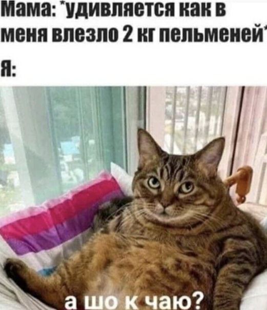мама УдИВЛПВТСЯ 11811 В меня 81183110 2 111 8111111181101