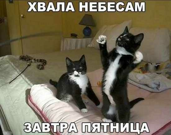 _ ХВАЛА НЕБЕСАМ