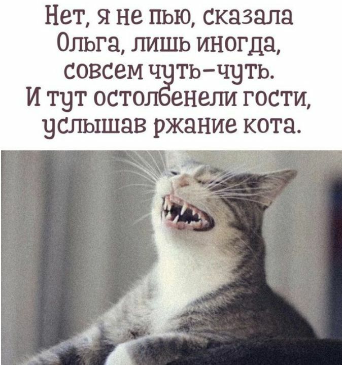 Нет я не пью сказала Ольга лишь иногда совсем тьчуть И тут осто енели гости услышав ржание кота