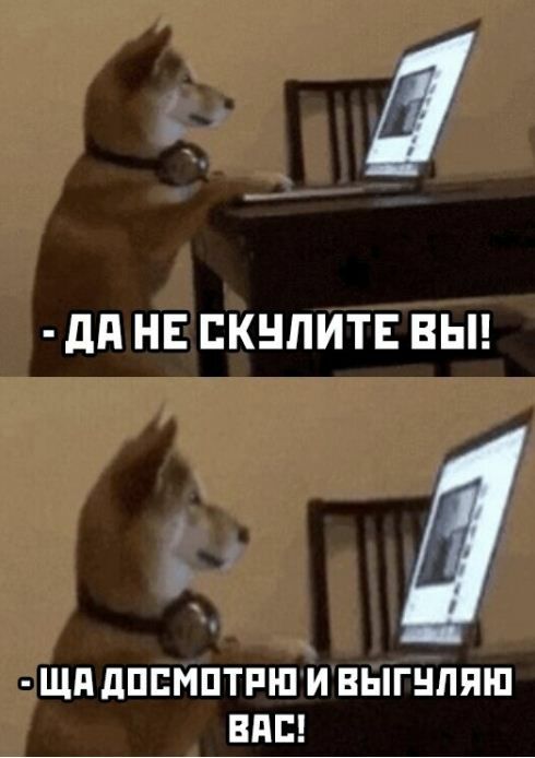 д дд НЕ ЕКНПИТЕ ВЫ ЩП дПЕМПТРШ И ВЫГНЛЯШ ВПП