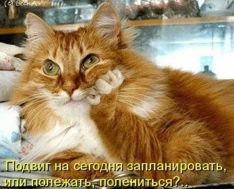 На се ГОДНЁЗЭППЭНИ ровать _опёнитьця _