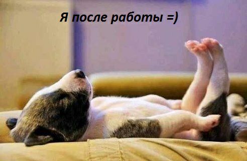 ____ сле робить и й