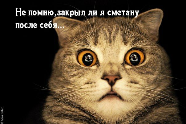 Не помню закры после себ