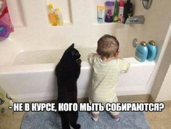 7 Е ШШ Щ епвшютспэ