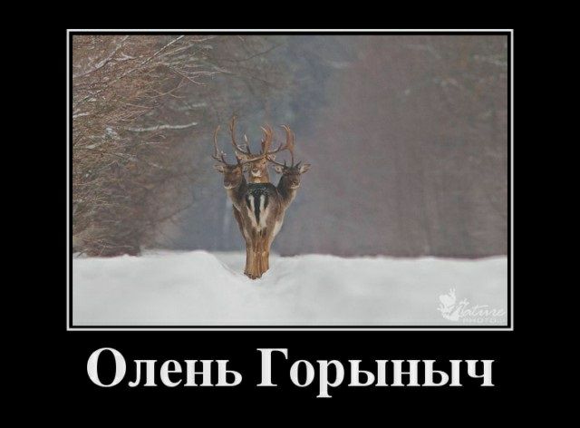 Олень Горыныч