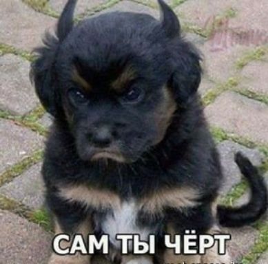 _ А чи Шанти чёт