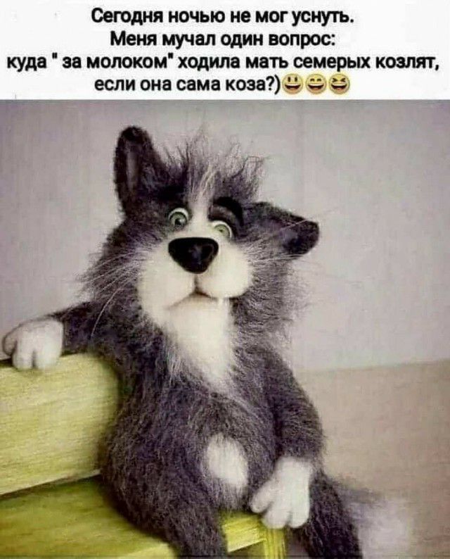 Сегодня ночью не мог уснуть Меня мучал один вопрос куда за молоком ходила мать семерых козлят если она сама коза с ш