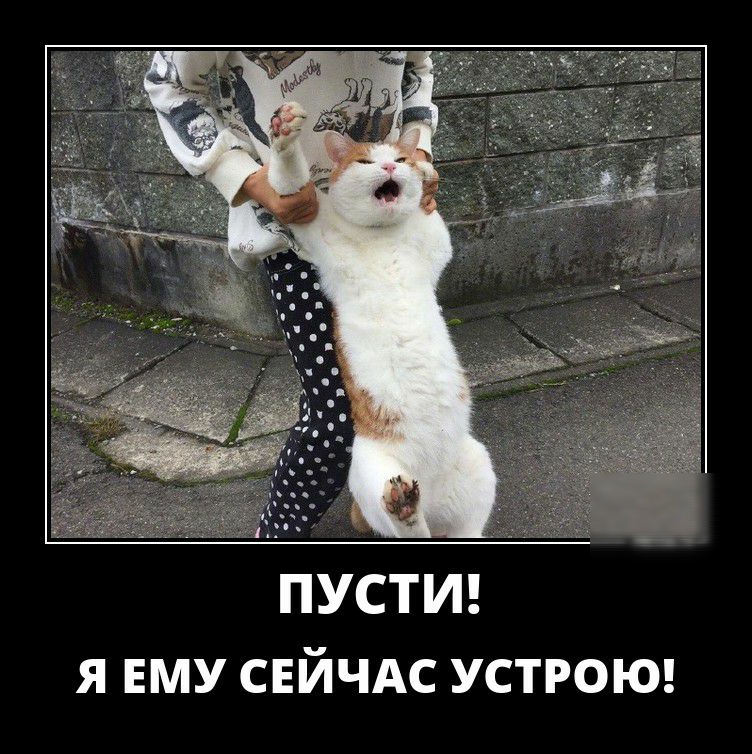 ПУСТИ Я ЕМУ СЕЙЧАС УСТРОЮ