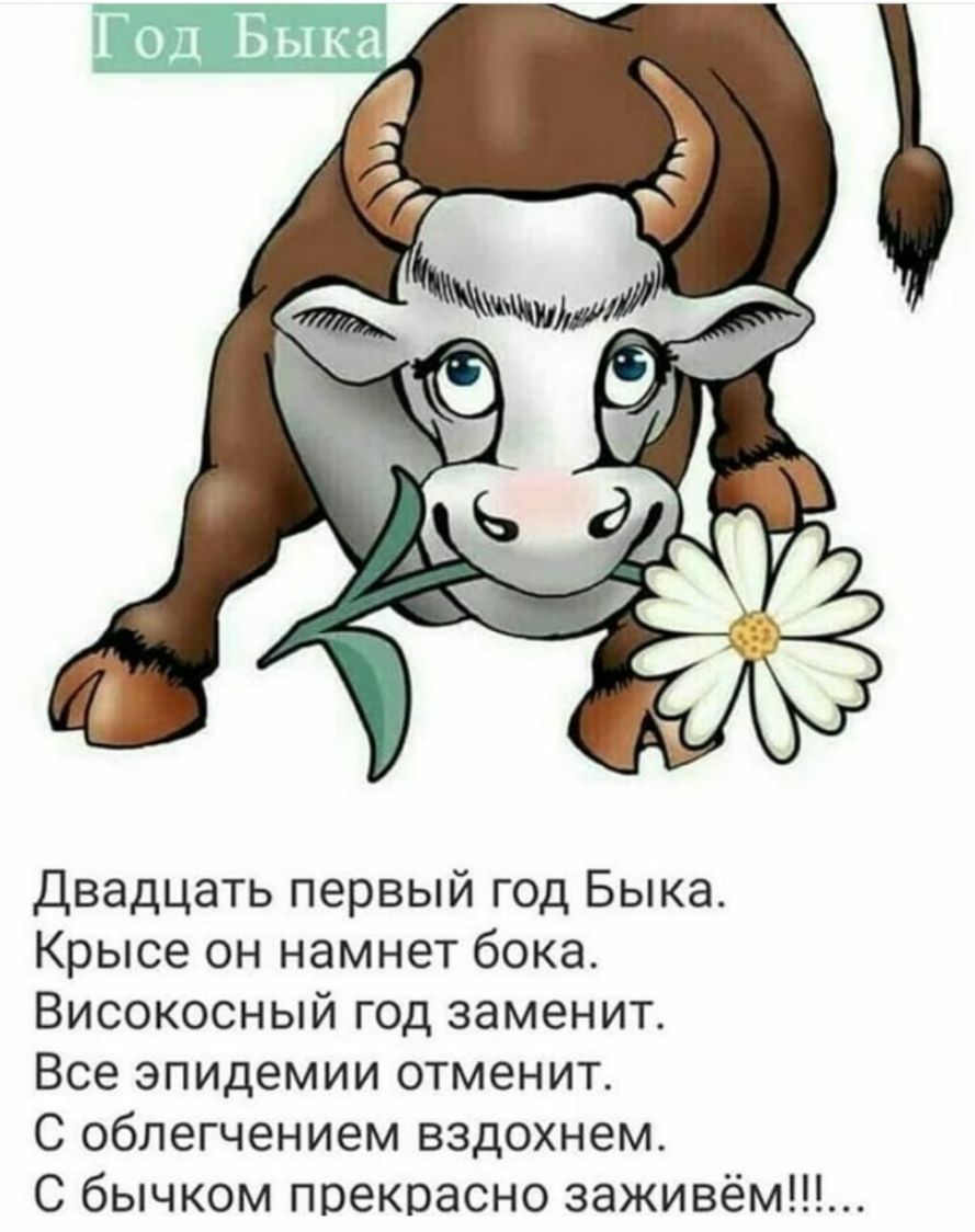Двадцать первый год Быка Крысе он намнет бока Високосный год заменит Все эпидемии отменит С облегчением вздохнем С бычком прекрасно заживём