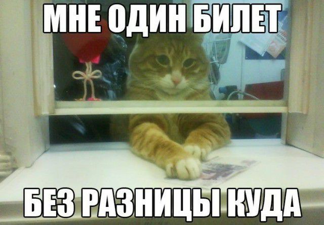 1 За Рдзницы МДА