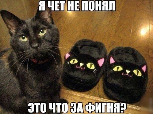 ПВПЧ ПШ а о 1 139 о это чтшнпэ