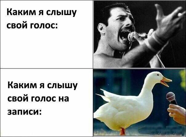 Каким я слышу свой голос Каким я слышу свой голос на записи