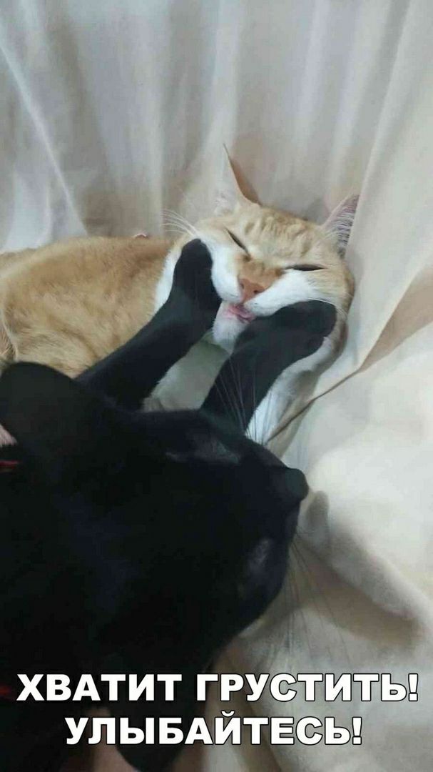 хвдтит таётгштъд улывщйтвсёъд