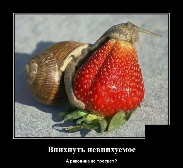 Впихнуть невпихуемое А раковина не треснетт