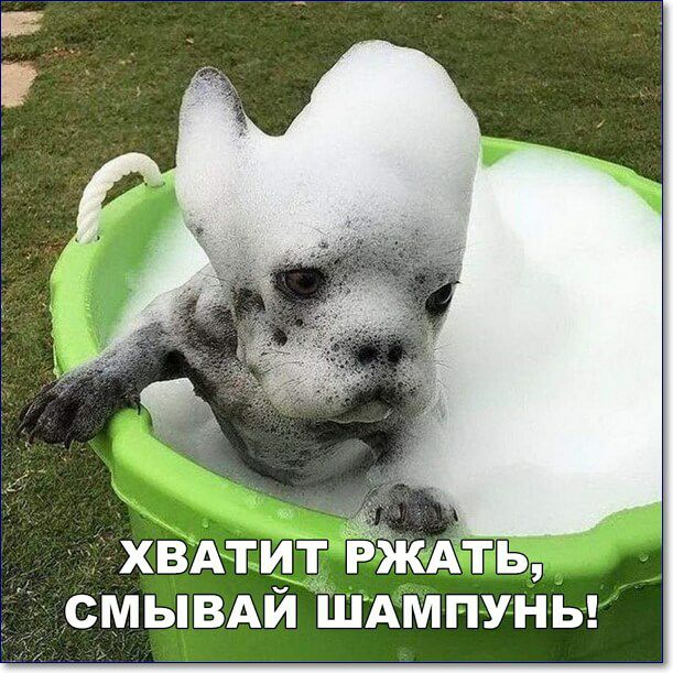 ХВАТИТ Р Ь СМЫВАЙ ШАМПУНЬ