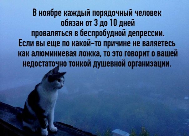 В ноябре каждый порядочный человек обязан от 3 до 10 дней провалиться в беспробудной депрессии Если вы еще по какойто причине не валяетвсь как алюминиевая ложка то это творит о вашей иедопато ио тонкой душевной организации