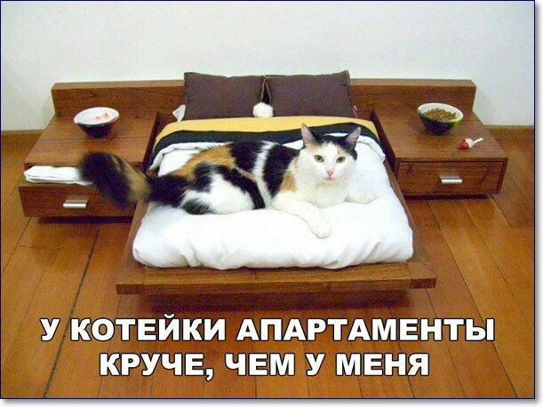У КОТЕЙКИ АПАРТАМЕНТЫ КРУЧЕ ЧЕМ У МЕНЯ