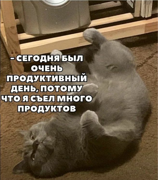 Егодня выл ОЧЕнщ _ продуктивный дЕнь потом Что я съЕп многт пвбдУктов