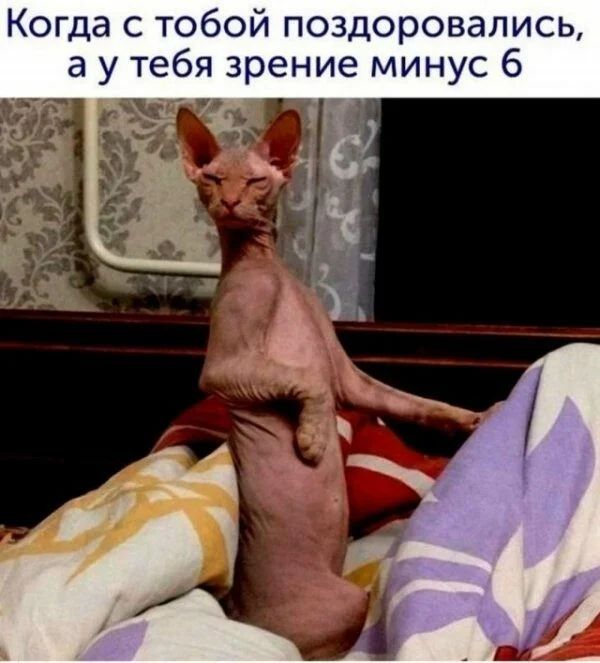 Когда с тобой поздоровались я зрение минус 6