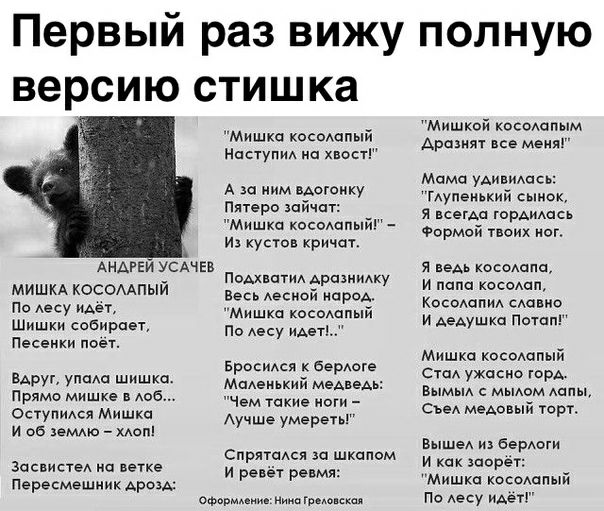 Первый раз вижу полную версию стишка Мишка косоАопый НасТупиА на хнвсг А за ним вАогоику Пятеро шйчпт Мишка косоапый и кустов кричат АНАРЕЙ УСАЧЕВ МИШКА косомпый По Аесу идет Шишки собирает Песенки поет вдруг упма шишка Пряме Мишке доб Оступидся Мишка И об земно мот Засвистед на ветке Пересмешник АродА ПоАхнатиА АразНИАКу Весь Аесиой народ Мишка косоший По Аесу иАет БросиАся Берюге МпАеиький меАве