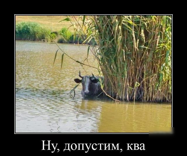 НУ допустим ква