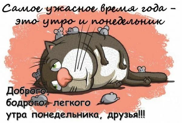 Сщмоужашмбримдишдш этоу до бод легкого утра понедельника друзья