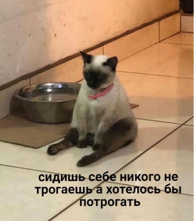 НИКОГО не отрогать