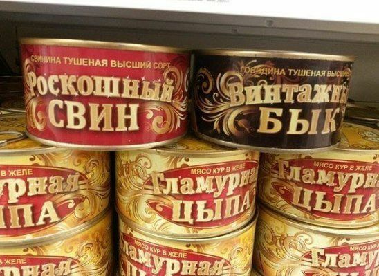 _імнжпушвнцявьсш щ ушгшвь эбскошыъій _мвйтгат _ЁСВШНЮ ВНЖ