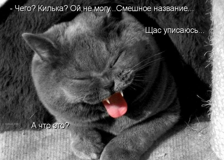 Чего Килька Ойн ирч0мешное название гг Щас уписаюсь