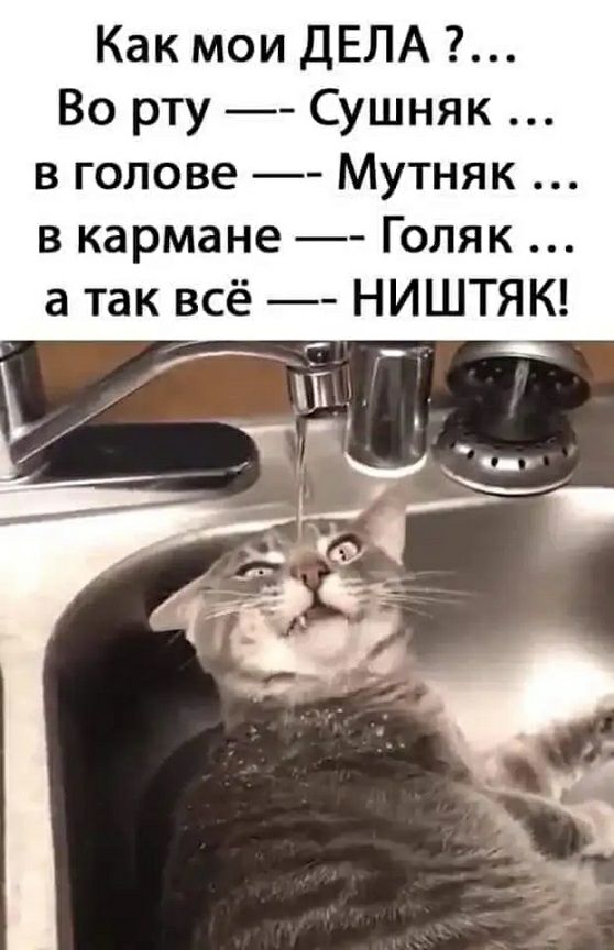 Как мои ДЕЛА Во рту Сушняк в голове Мутняк в кармане Голяк а так всё НИШТЯК