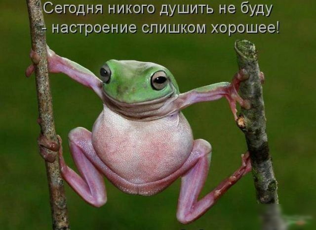 Сегодня никого душить не буду настроение слишком хорошее
