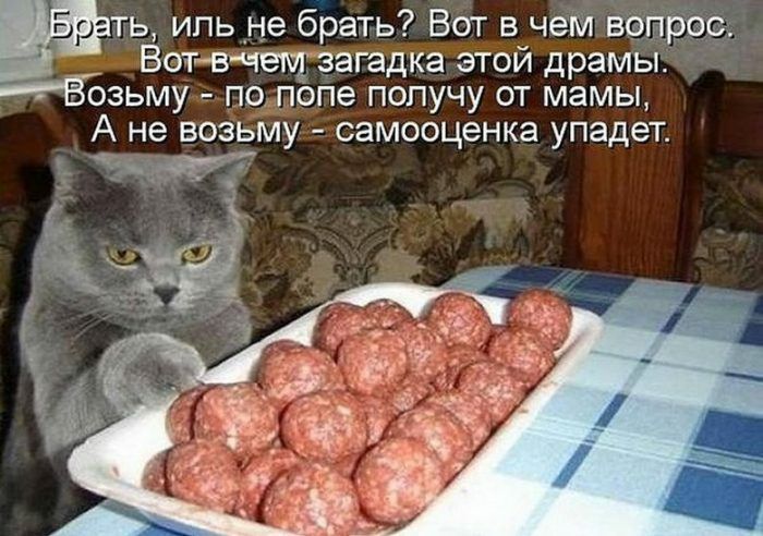 ть ипьне брать Вот в чеки в___ _ _ Вотвчещзагадка этой драмы ЧВЪзьму подпопе получу от мамы А не возьму самооценка упадет