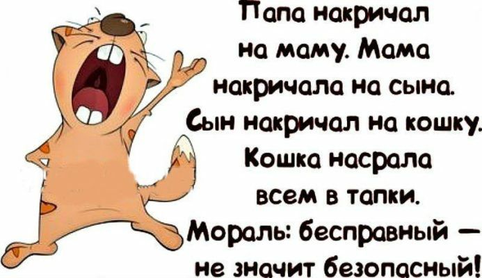 _ Папа иакричол р на маму Мама нокричада но сына Сын нокричал на кошку Кошка насрола __ всем в тапки Моралы бесправный не значит бэтмен лый