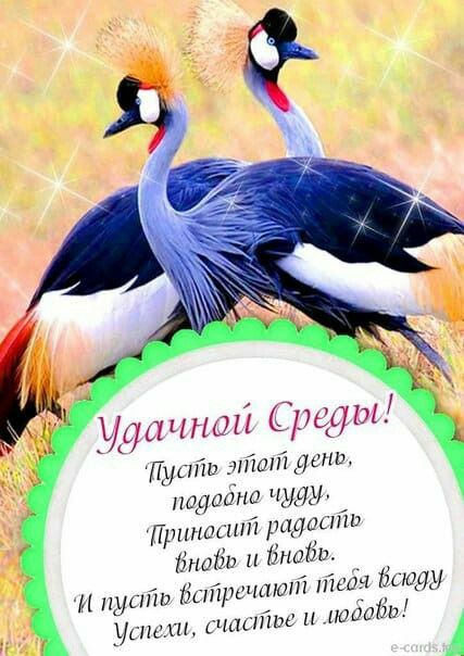 удачном Среды Путін пит дет подшіна чуду Приносит радапйи Майи и Нгшіги М ПЛСГШ йщйрьчпют ійидн Шиш Утихи счмтш шёшізи А