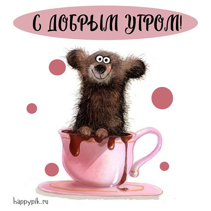 С ДОБЧЫШ ЖРОП