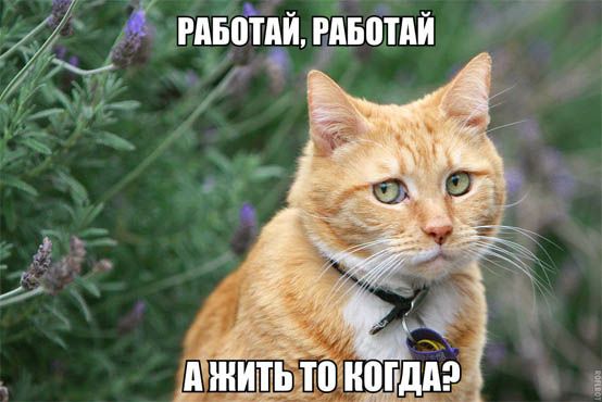 д _ уймк _МРРТЕИШЦБШАИ Ёі до