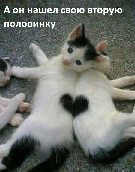 А он нашел ёво_ю вторую