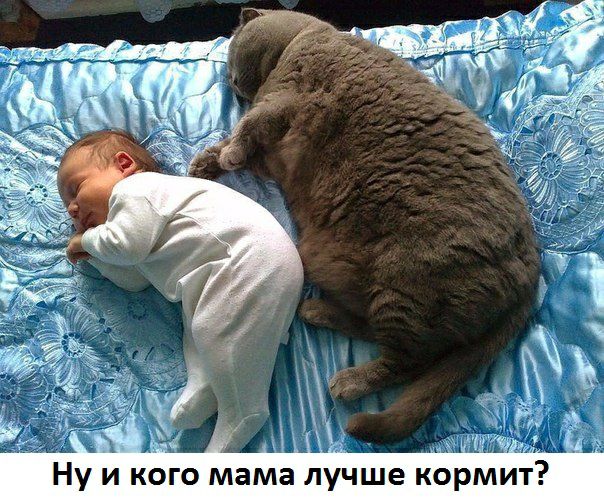 д4 Ну и кого мама лучше кормит