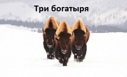 Три богатыря