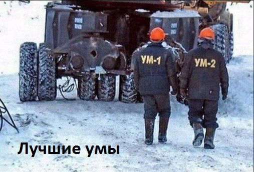 К ЛУчЩИе умы
