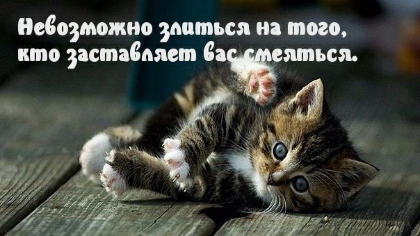 Невозможно зваться и того кто заставмет даташита