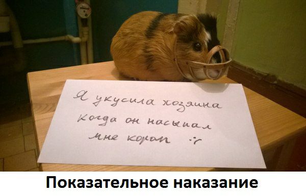 3 ьное наказание