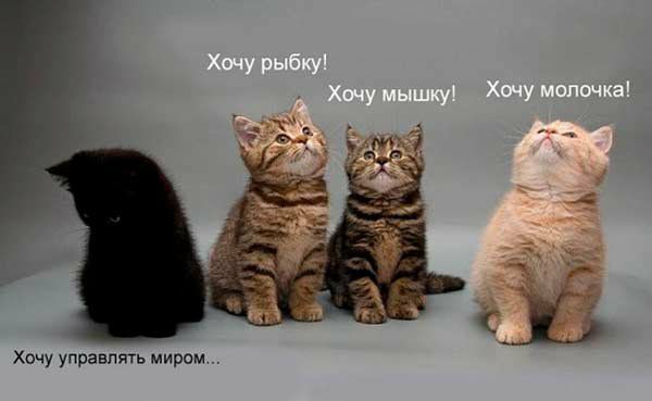 Хочу управлять миром