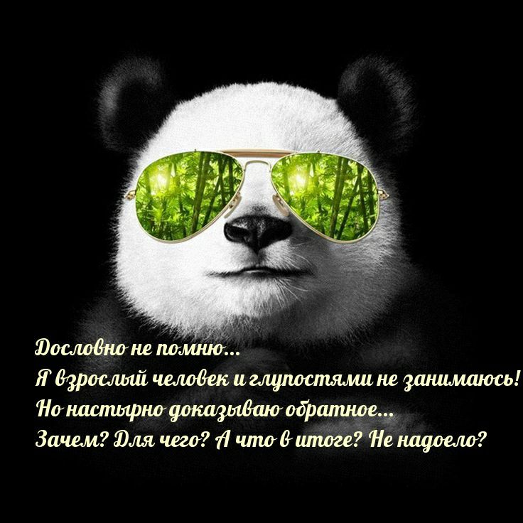 Южштанг полипа іі Взрослый челодш игщршапямине Нотшифнауощлшшоофшпнмц Зачем Юля чего 11 чтодшпоге Не