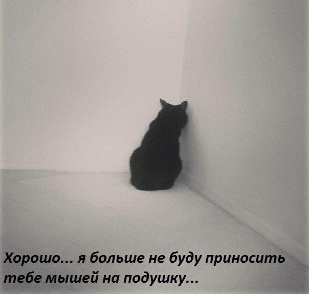 Хорошо я больше не Буду приносить табе мышей на подушку