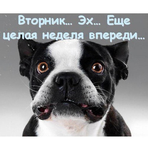 _ Вторник Эх Еще дві юя н _ впереди