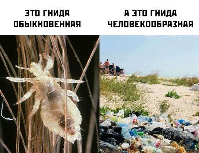 ЭТП ГНИдд д ЗТП ГНИдП ПЕЫКНПВЕННПП ЧЕППВЕКППБРПЗНПЯ