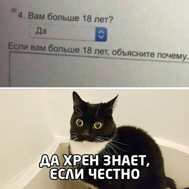 4 Вам больше 18 лет Да __ __ Ё вам больше 18 лет объясните почему Ахвен ЗНАЕТ дети честно