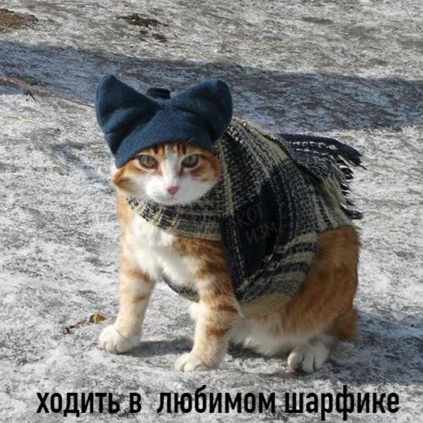 ходИЁЁ ШЁЁИЙЁЗЁЁР