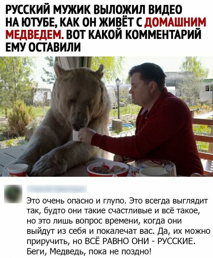 РУССКИЙ МУЖИК ВЫЛОЖИЛ ВИДЕО НА ЮТУБЕ КАК ОН ЖИВЁТ С ДОМАШНИ_М МЕДВЕДЕМ ВОТ КАКОЙ КОММЕНТАРИЙ ЕМУ ОСТАВИЛИ Это очень опасно и глупо Это всегда выглядит так будто они такие счастливые и всё такое но это лишь вопрос времени когда они выйдут из себя и покапечат вас Да их можно приручить но ВСЁ РАВНО ОНИ РУССКИЕ Беги Медведь пока не поздно